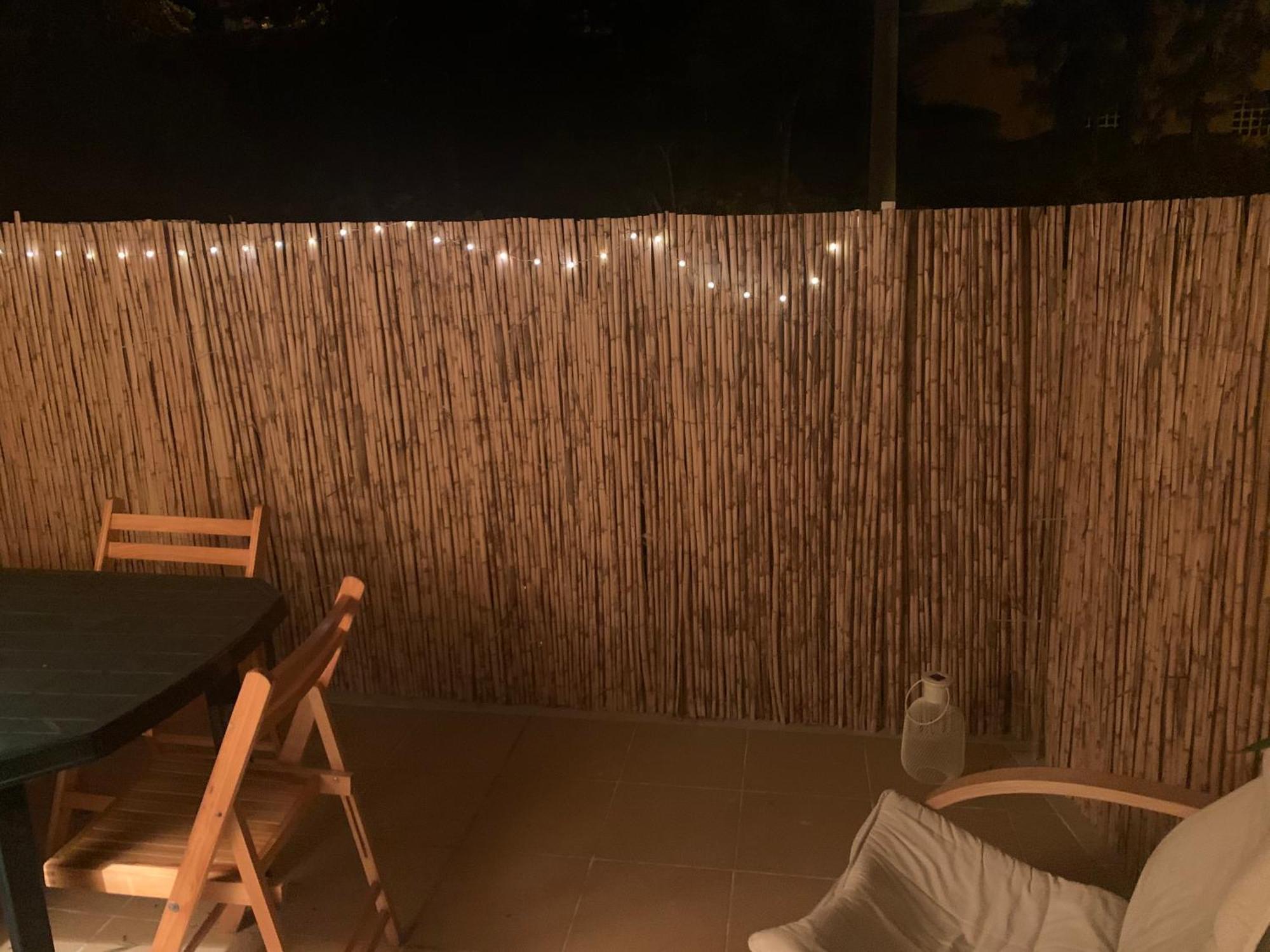 Praia Da Rocha Pasm Apartamentos Portimão Dış mekan fotoğraf